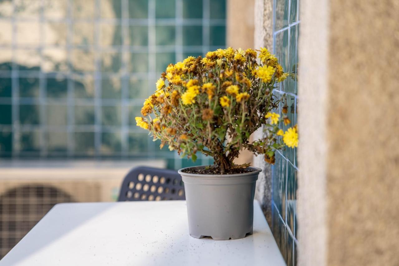 Joao IV Jewel Retreat By Lovelystay Porto Exterior photo